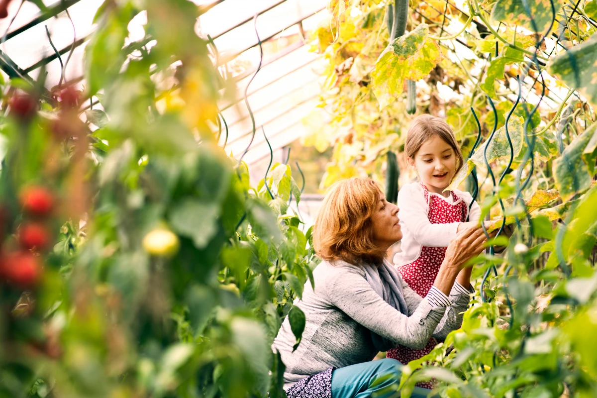 Les avantages de l’achat d’une propriété avec un jardin potager