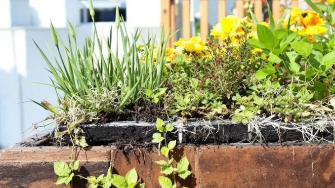 qui-est-responsable-