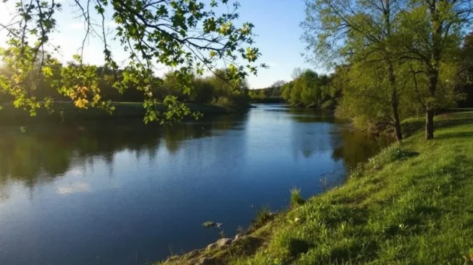 la-garantie-visale-u